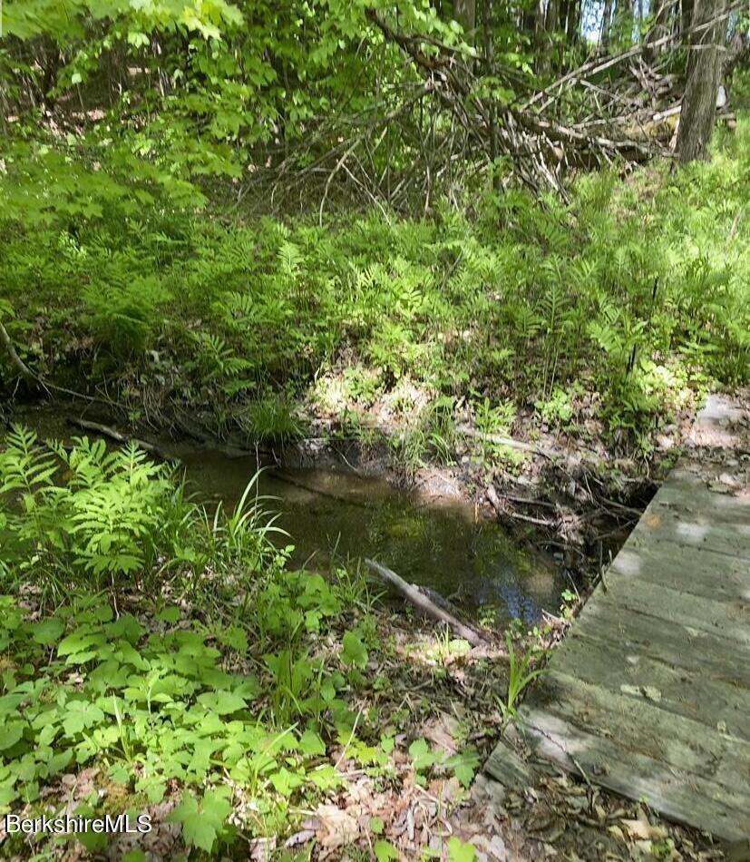 0 Bryant Road Cummington, MA 01026 - Photo 3 of 14 a backyard of a house with lots of green space and lake view