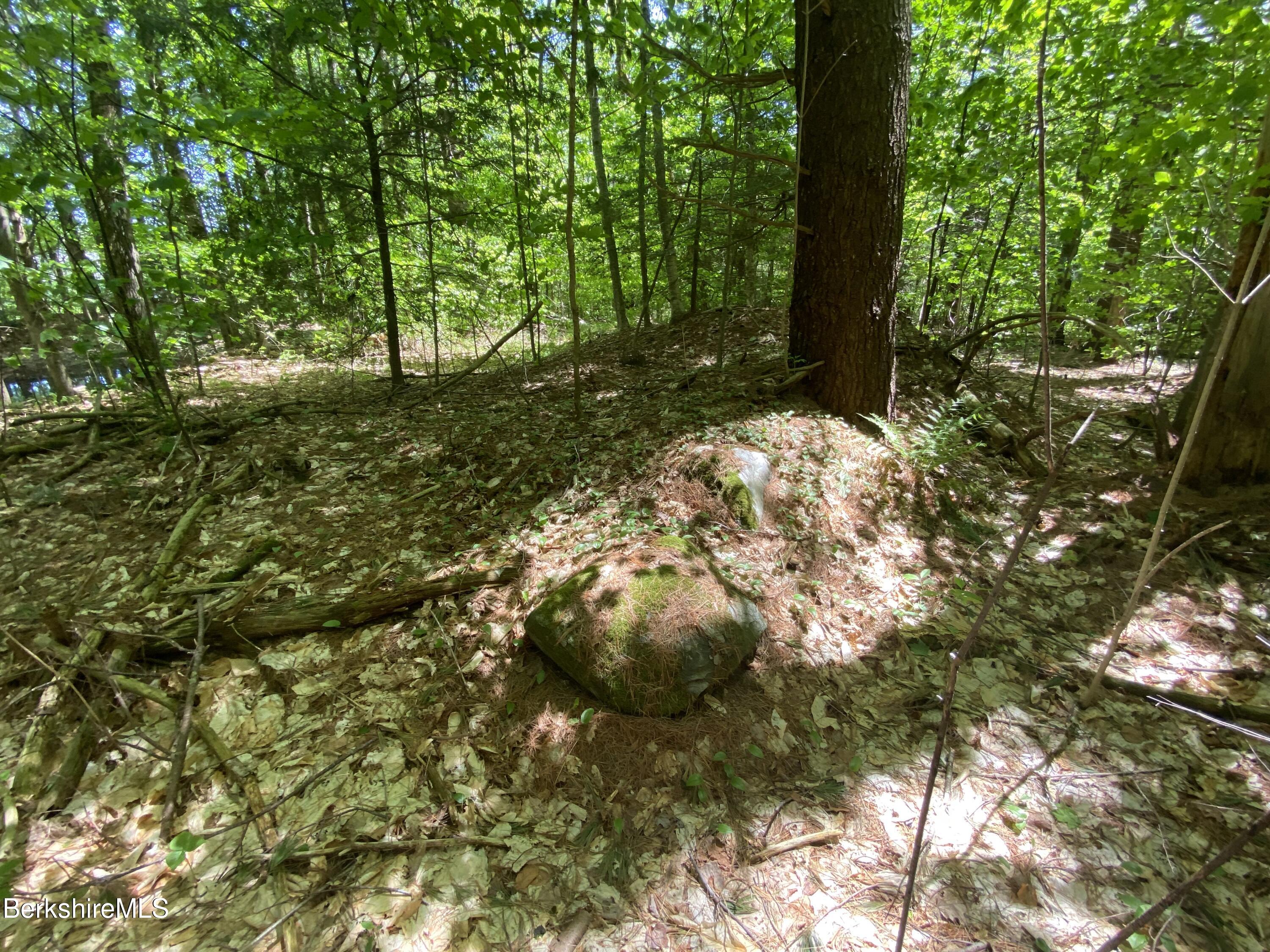0 Bryant Road Cummington, MA 01026 - Photo 5 of 14 a view of outdoor space and trees