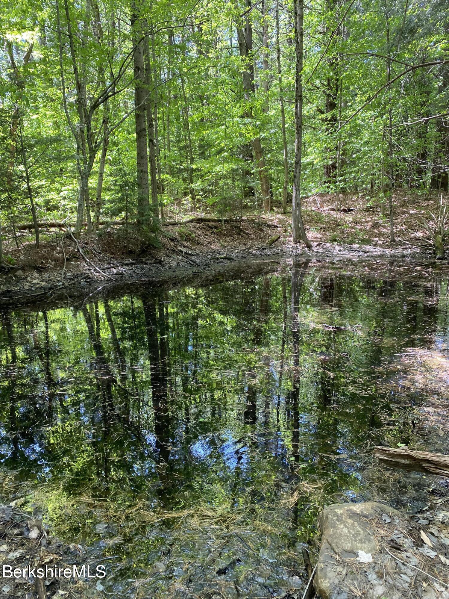 0 Bryant Road Cummington, MA 01026 - Photo 8 of 14 a view of lake