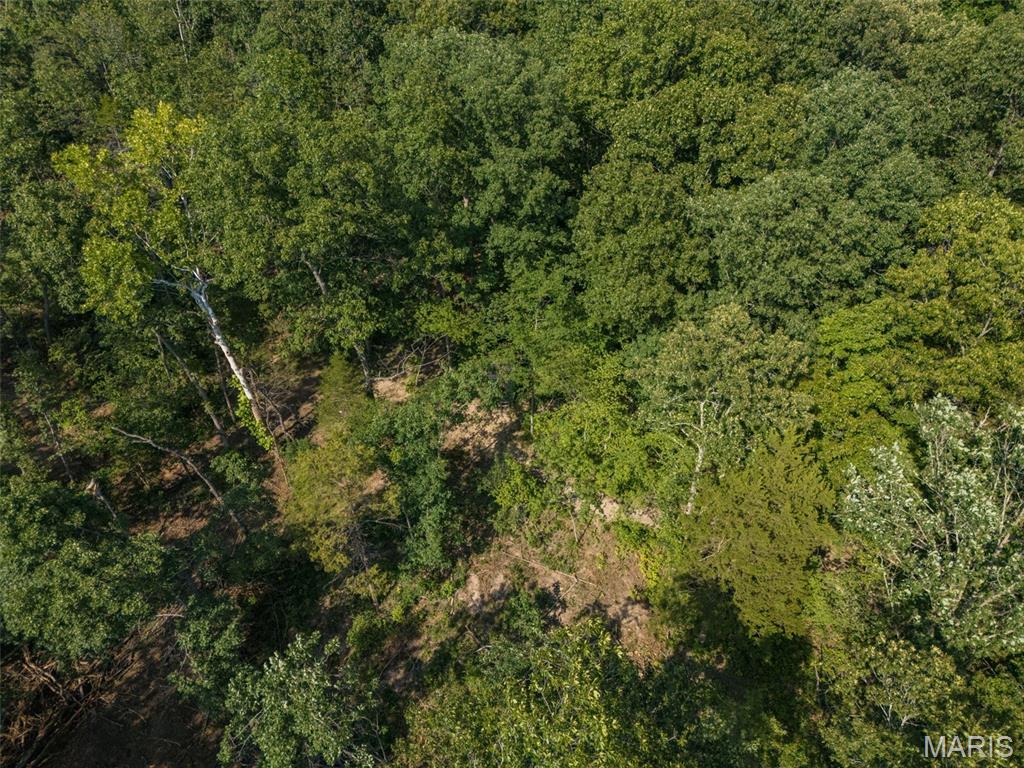 10179 Vine Road Cadet, MO 63630 - Photo 61 of 63 Gallery Image 61