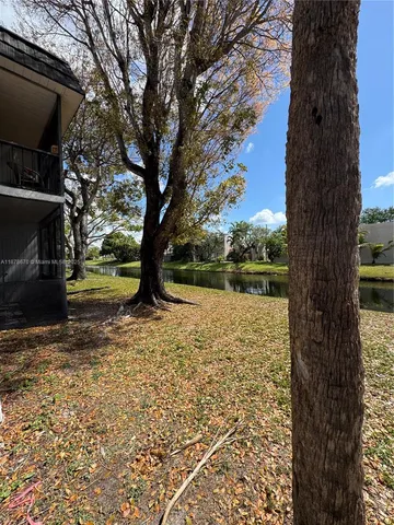 a view of outdoor space with deck and tree