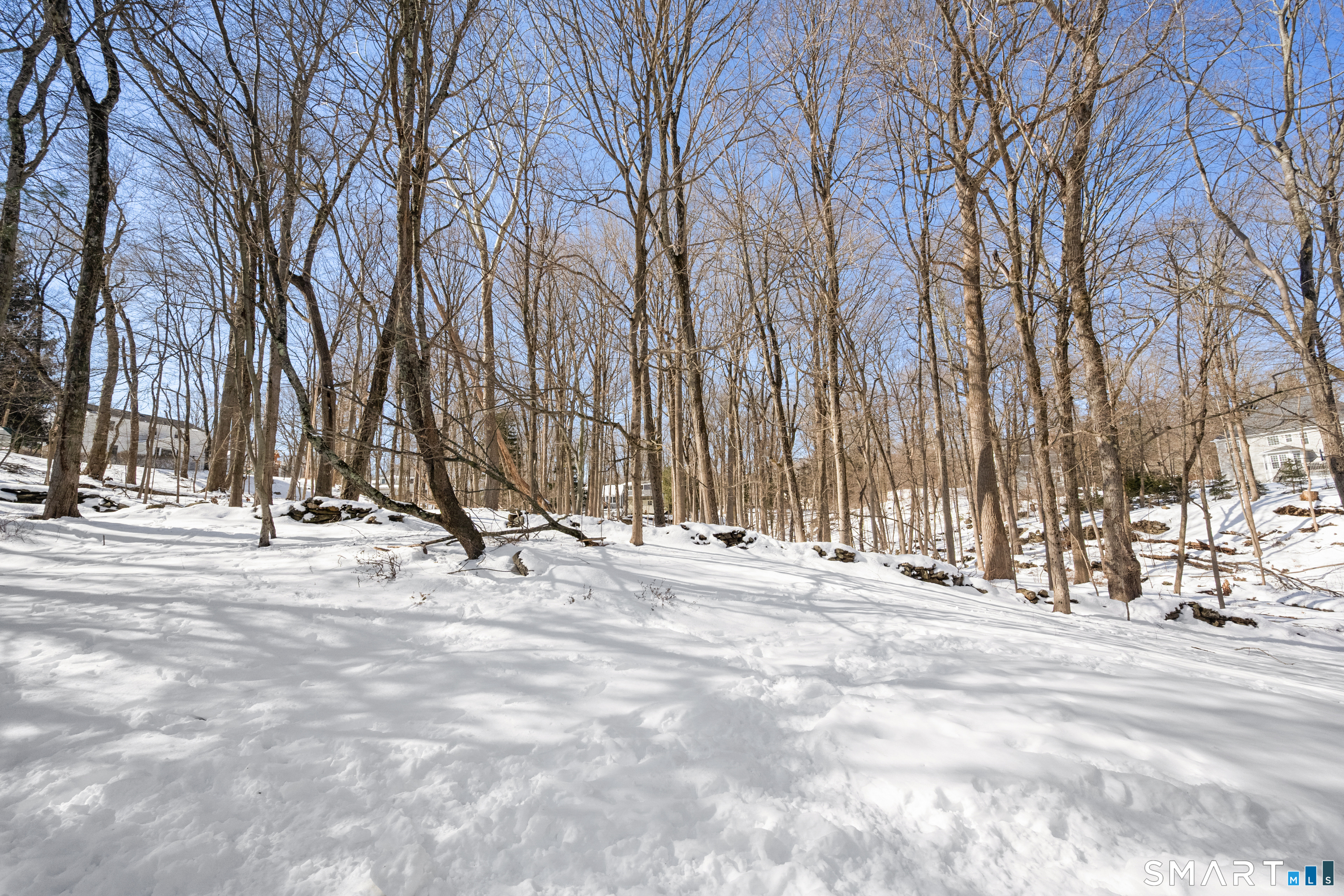 6 Buckboard Lane Fairfield, CT 06824 - Photo 20 of 23 a view of road with trees