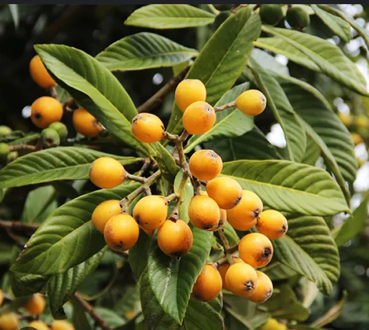 $165,000 | 1818 McDowell Street, Augusta, GA 30904