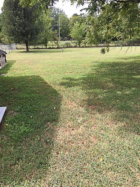 3799 Asbury Road Murfreesboro, TN 37129 - Photo 13 of 13 Gallery Image 13