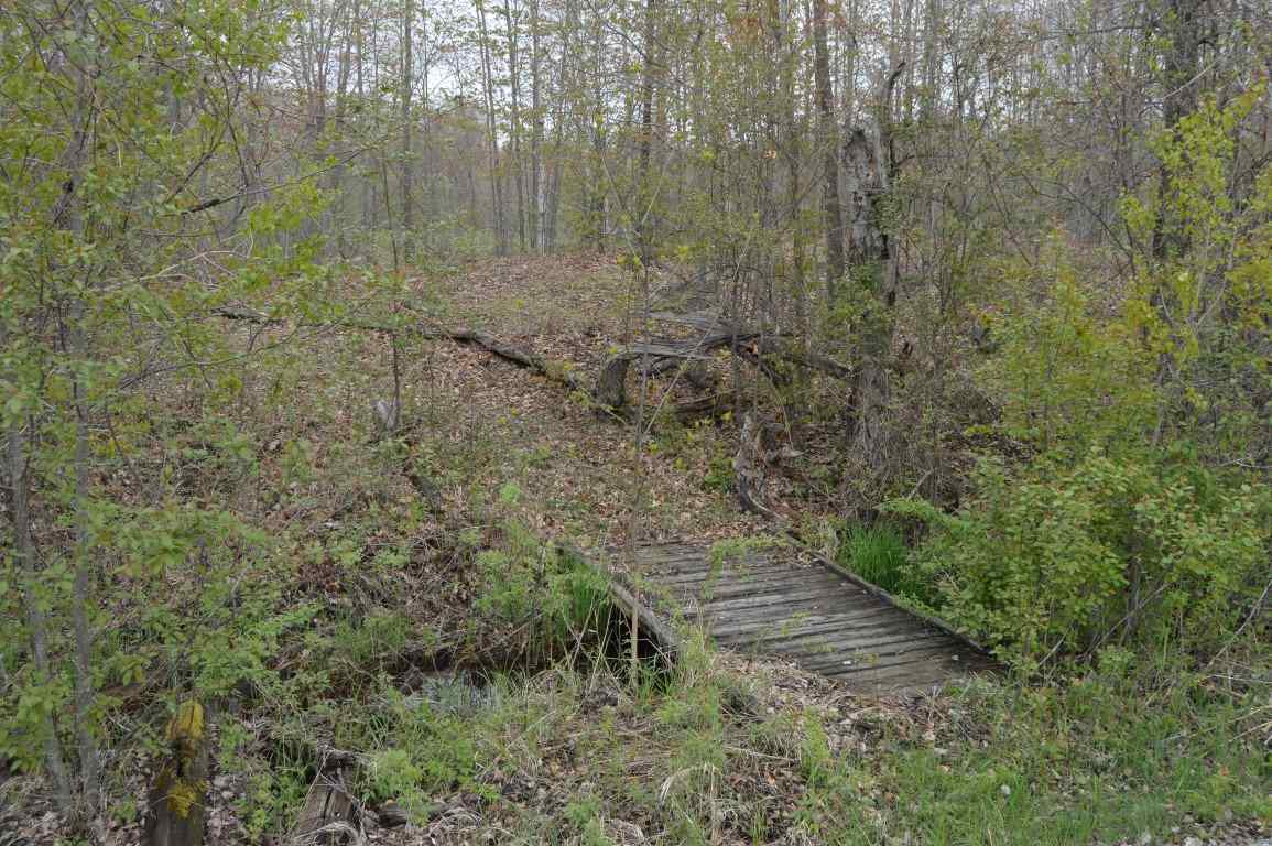 0 Alabaster Road Turner, MI 48765 - Photo 22 of 24 1856898-21.JPG