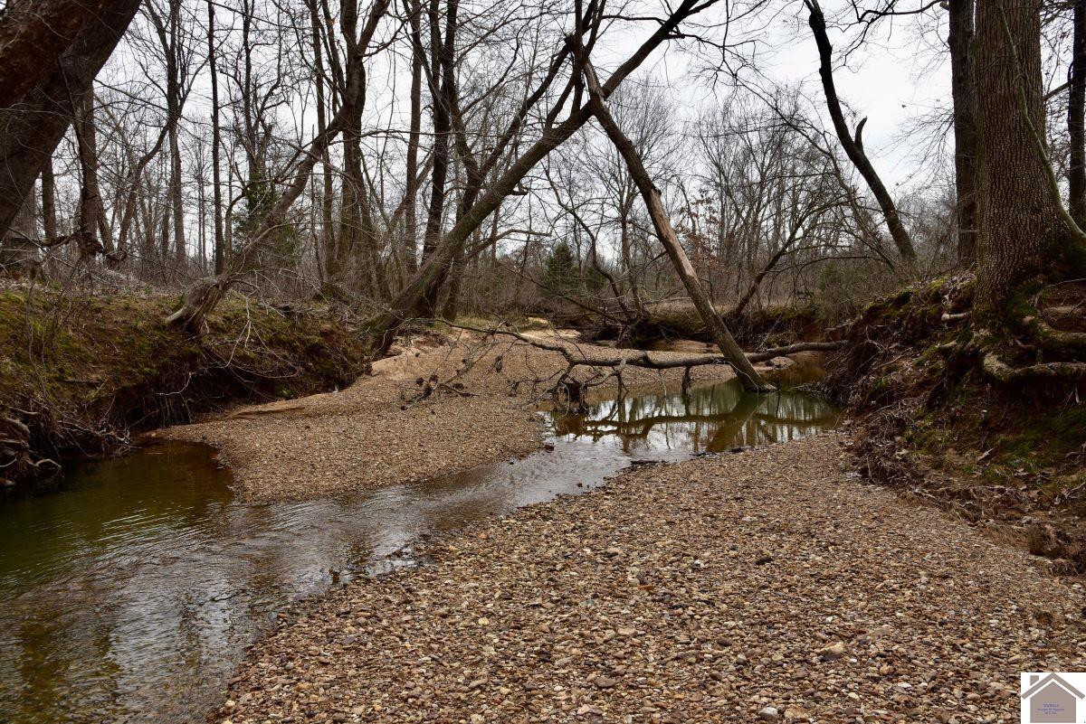 0 Waid Road Benton, KY 42025 - Photo 14 of 35 Photo 14
