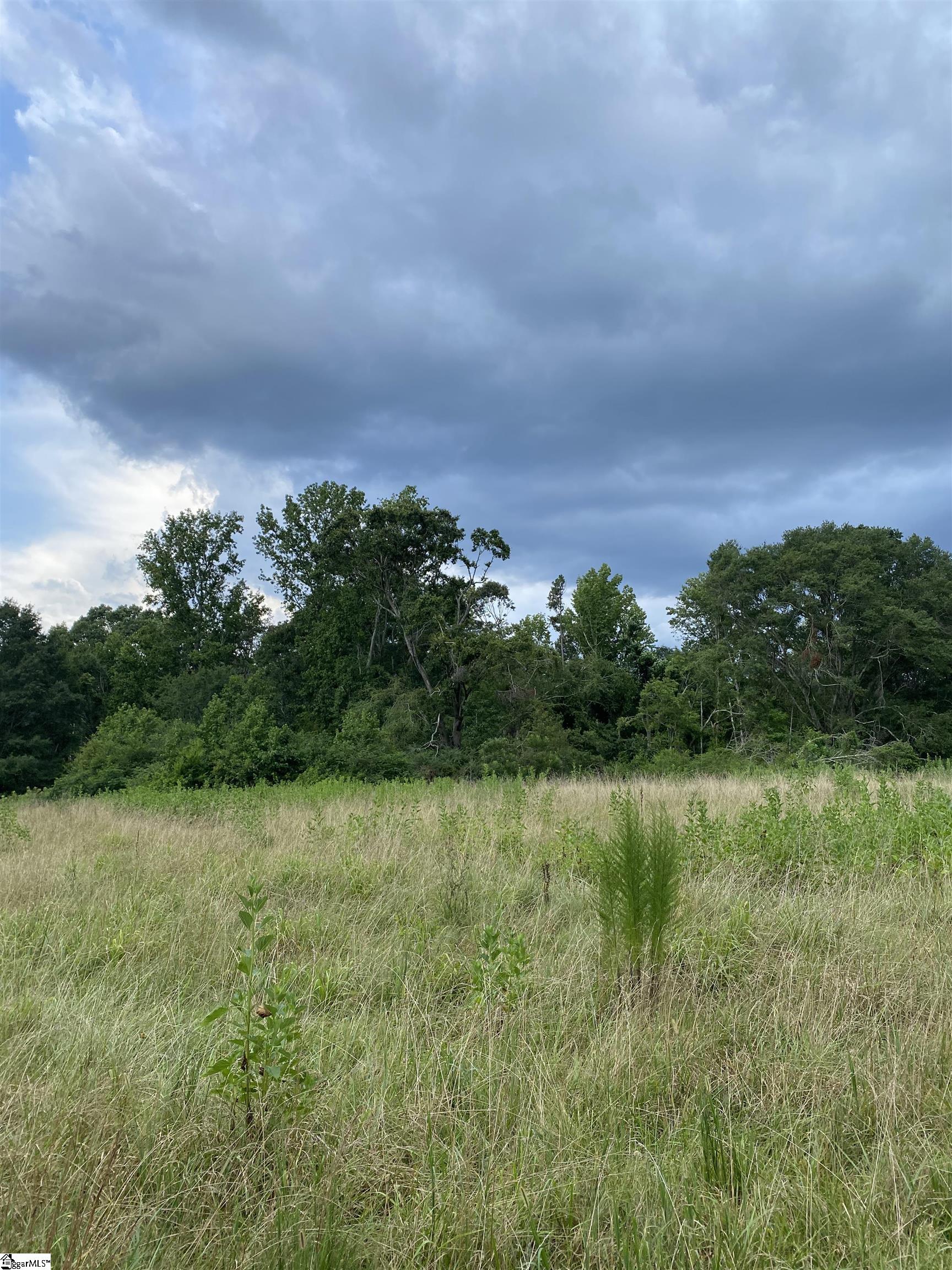 0 Edgewater Road Woodruff, SC 29388 - Photo 1 of 5