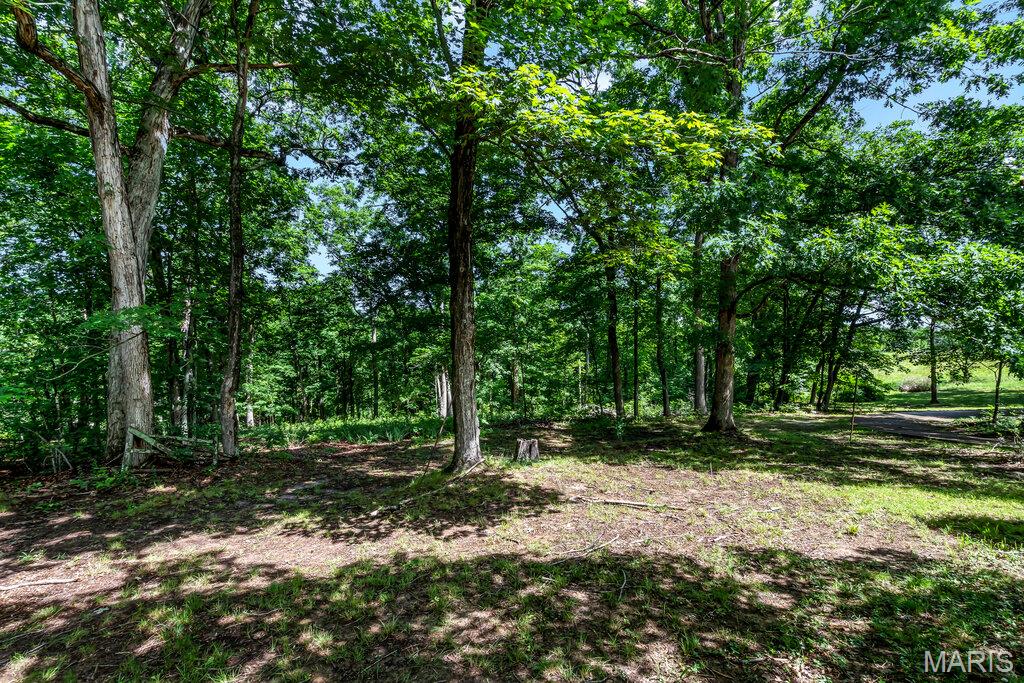 2099 Thunder Bluff Road St. Clair, MO 63077 - Photo 37 of 59