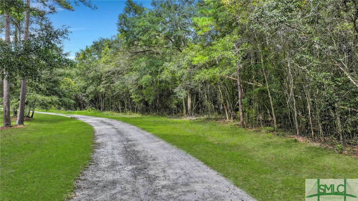 Lot #26 Barnstorm Road Townsend, GA 31331 - Photo 14 of 49 Gallery Image 14