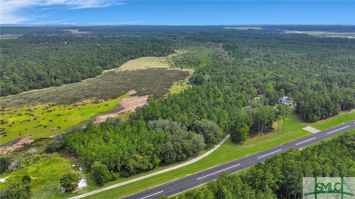 Lot #26 Barnstorm Road Townsend, GA 31331 - Photo 17 of 49 Gallery Image 17