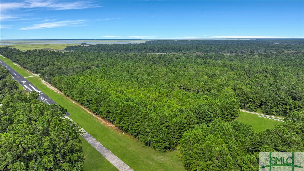 Lot #26 Barnstorm Road Townsend, GA 31331 - Photo 21 of 49 Gallery Image 21