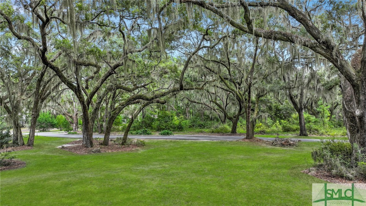 Lot #26 Barnstorm Road Townsend, GA 31331 - Photo 34 of 49 Gallery Image 34