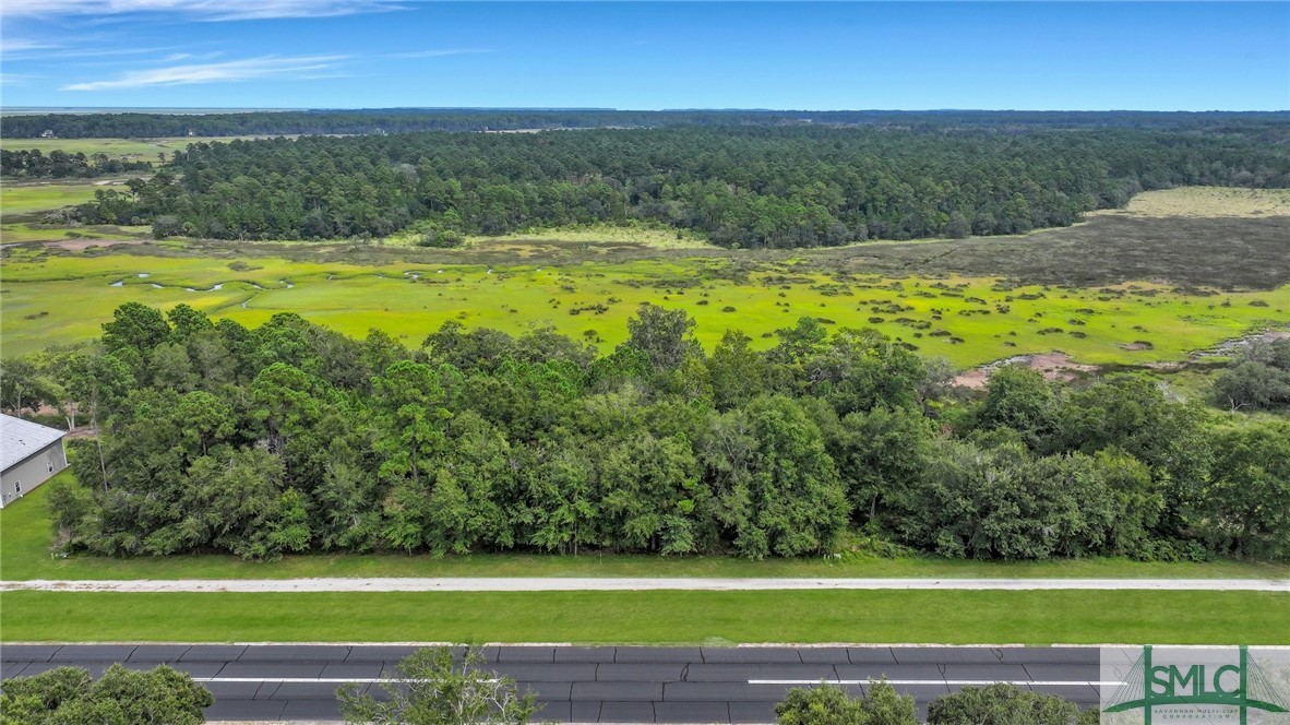 Lot #26 Barnstorm Road Townsend, GA 31331 - Photo 8 of 49 Gallery Image 8