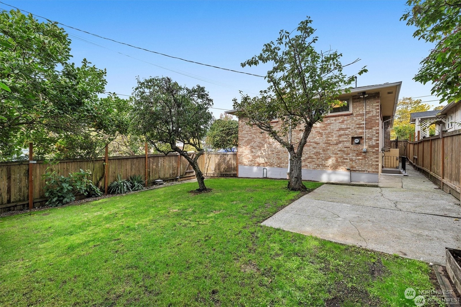 3801 Northeast 75th Street Seattle, WA 98115 - Photo 28 of 40 a view of a backyard with large tree
