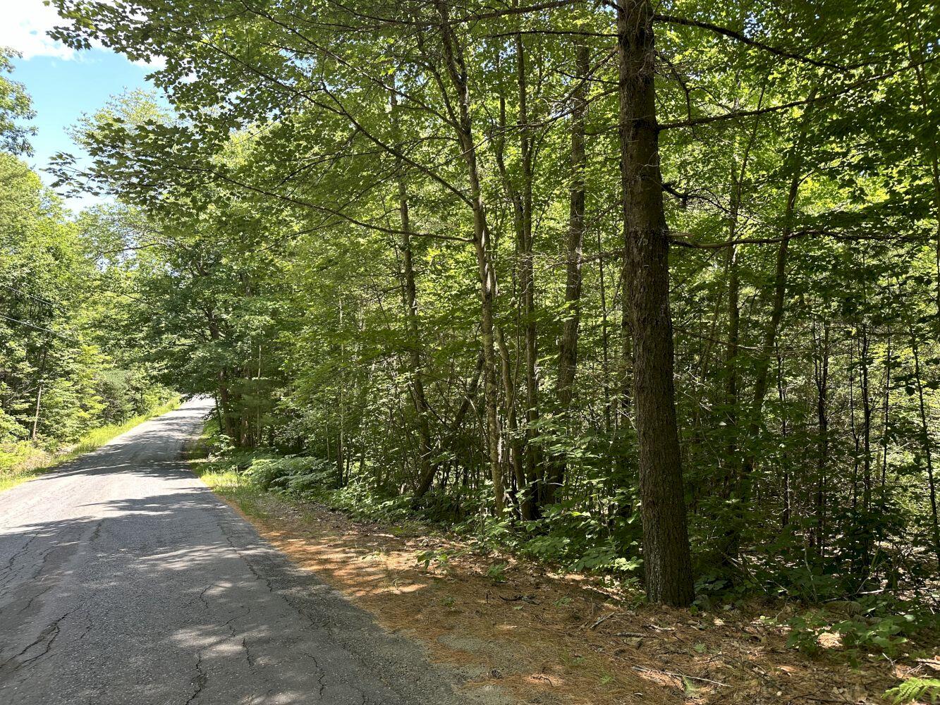 Lot 2 Egypt Pond Road Chesterville, ME 04938 - Photo 1 of 5 IMG_2661_result