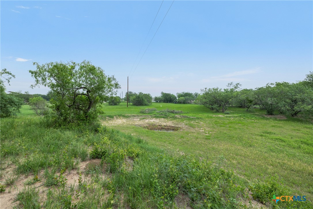 6497 Taylorsville Road Dale, TX 78616 - Photo 15 of 36 a view of a grassy field with trees