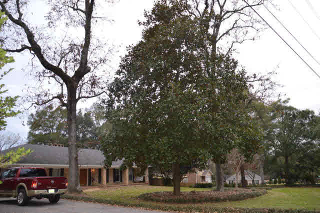 4 Yankee Trove Daphne, AL 36527 - Photo 30 of 33 front yard