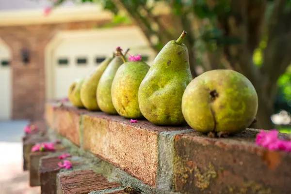 $1,290,000 | 670 Partridge Bend Road, Aiken, SC 29803