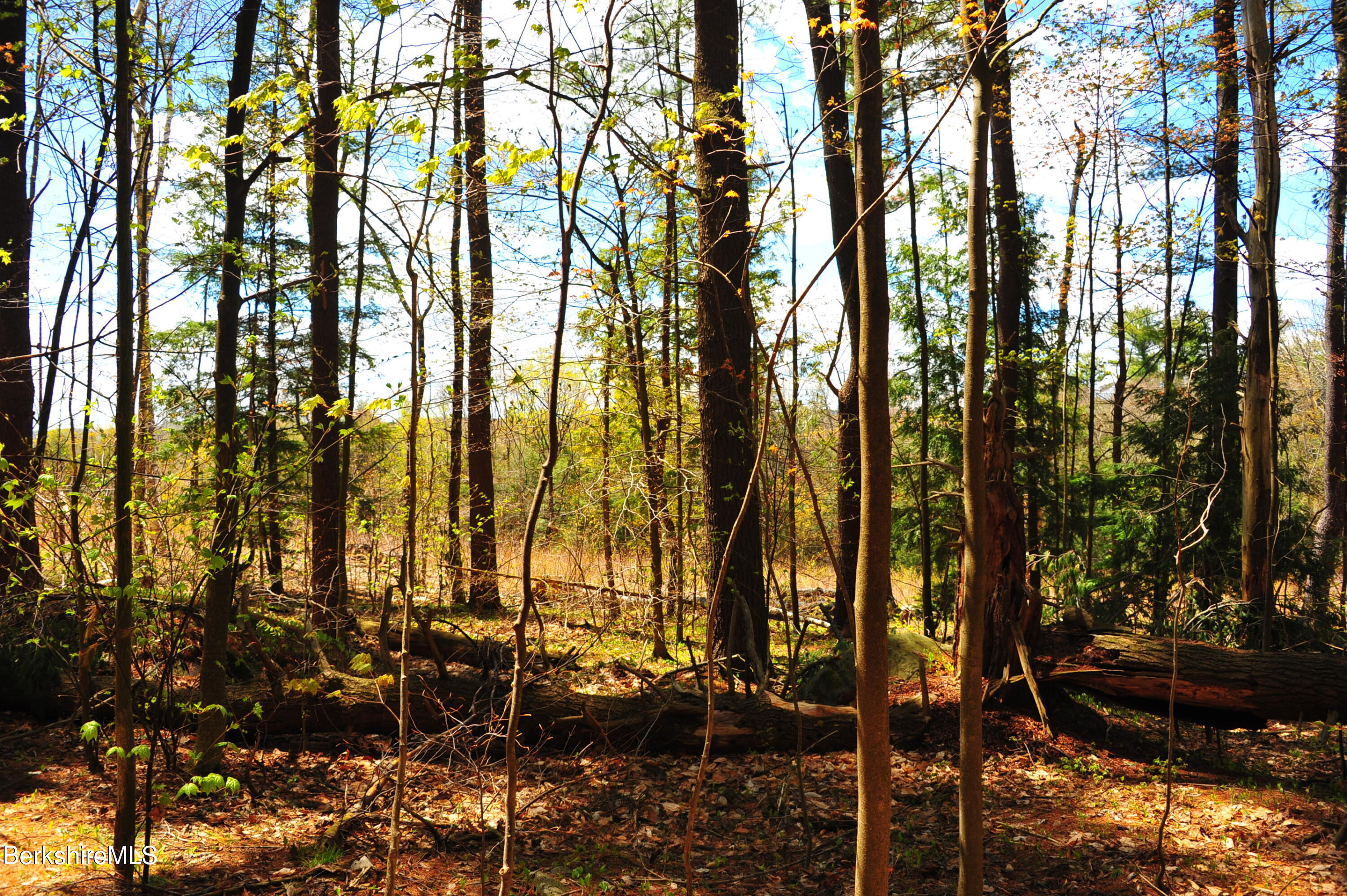 Lot 92 Jacobs Ladder Road Becket, MA 01223 - Photo 2 of 11 2