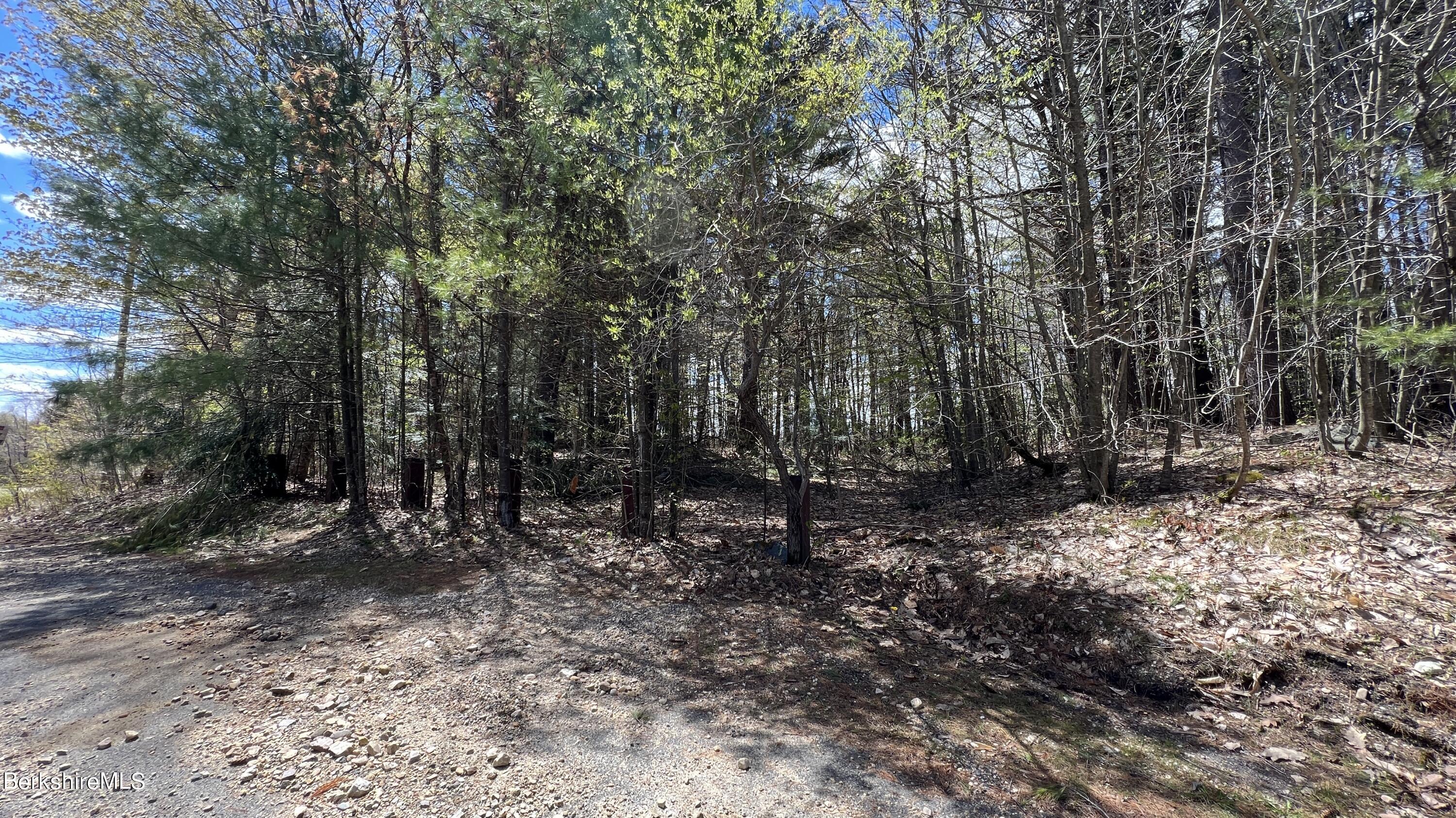 Lot 92 Jacobs Ladder Road Becket, MA 01223 - Photo 8 of 11 7