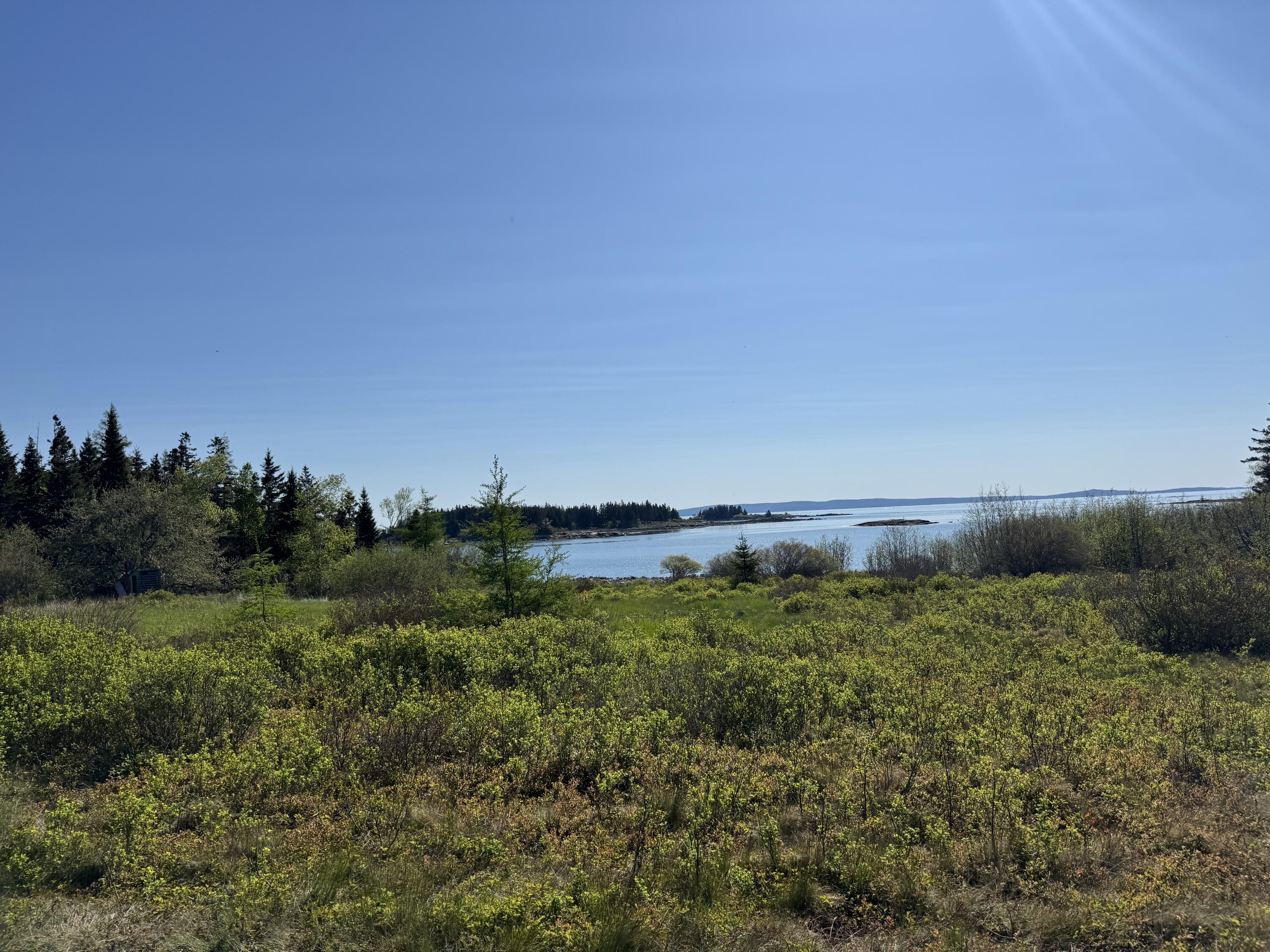 Lot #5 George Wright Road Vinalhaven, ME 04863 - Photo 19 of 29 IMG_8290