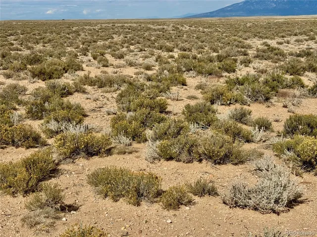 a view of a yard with a yard