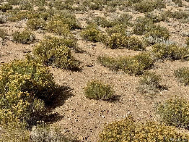 a view of a dry yard with lots of bushes