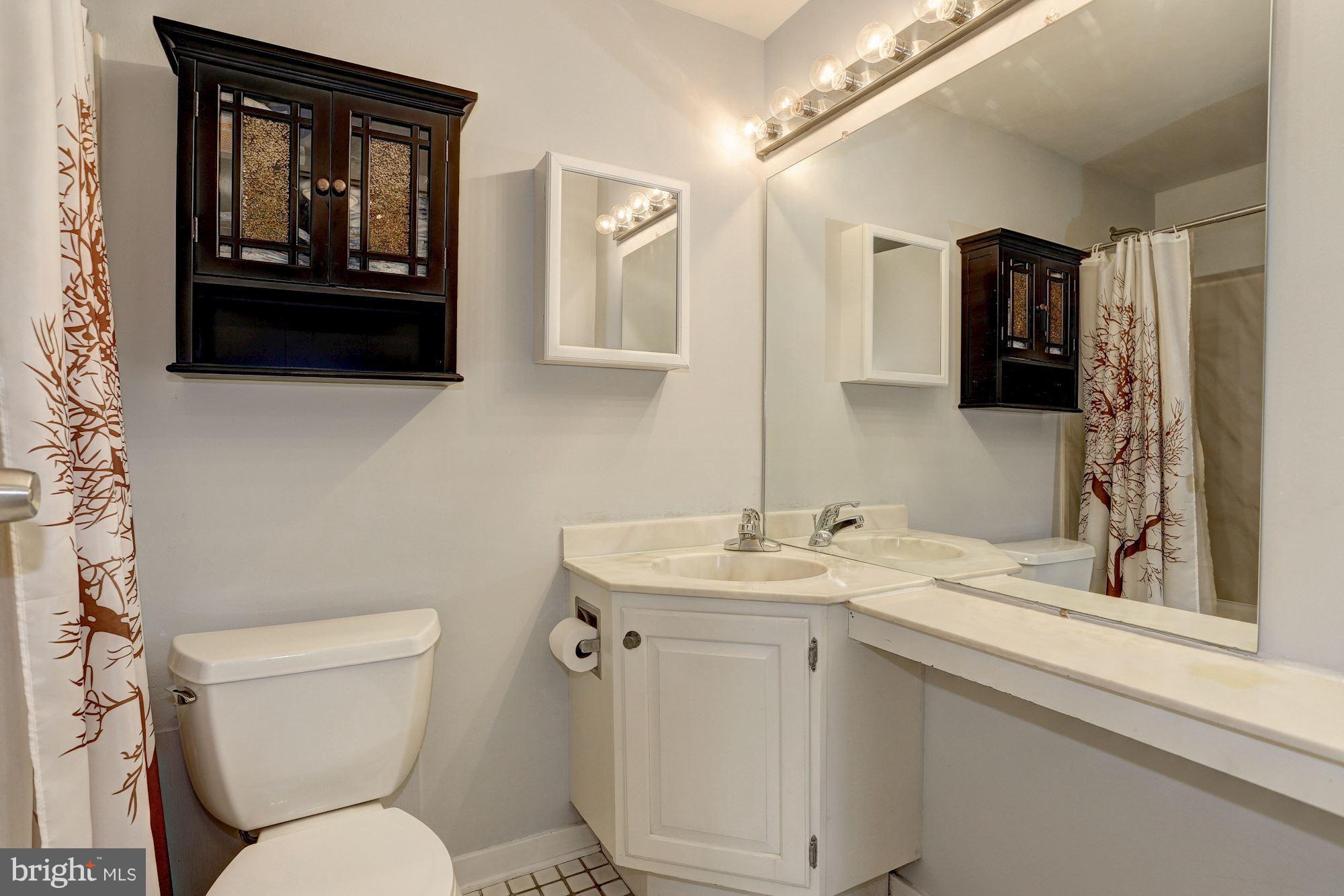 6306 Setting Star Columbia, MD 21045 - Photo 22 of 30 Full Bath