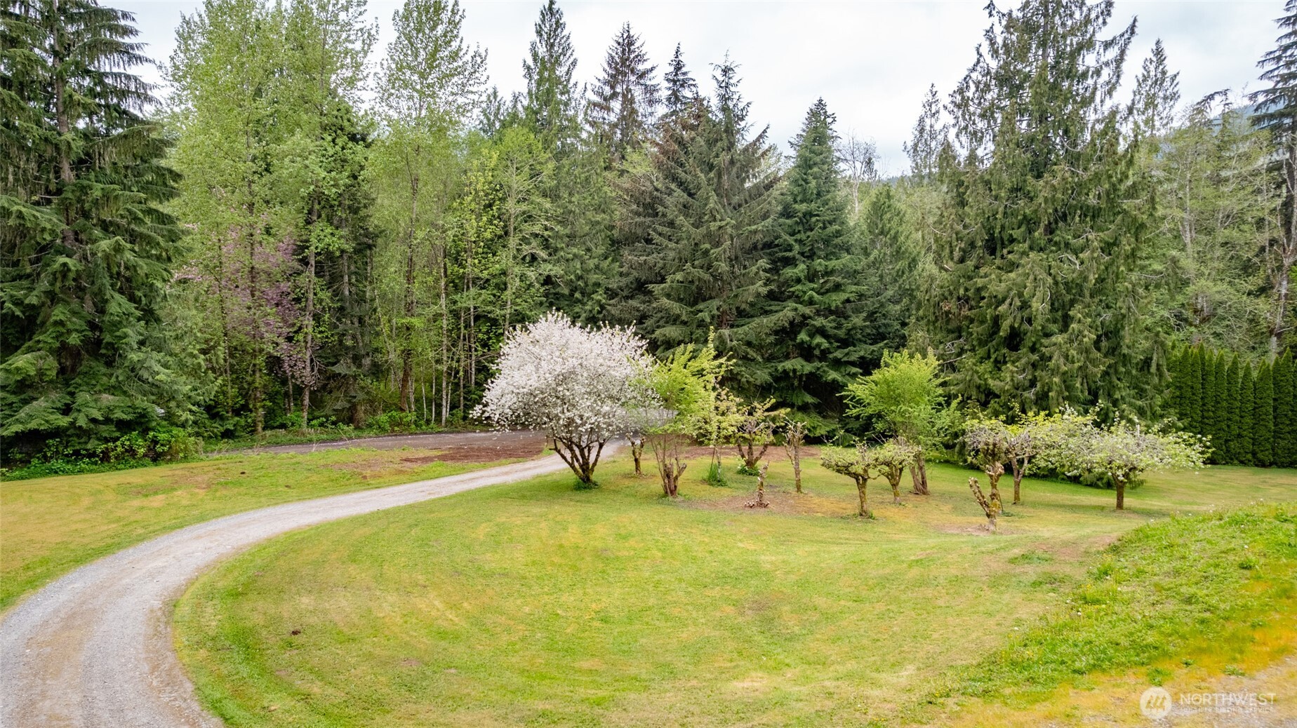 600 Innis Creek Road Acme, WA 98220 - Photo 21 of 24 Gallery Image 21