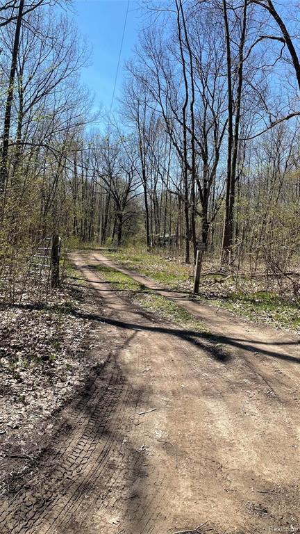 Vl West Coon Lake Road Gregory, MI 48137 - Photo 2 of 5 Gallery Image 2
