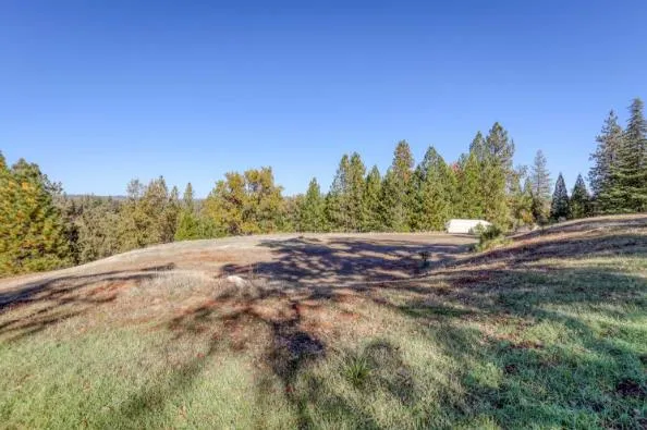 a view of dirt yard with large trees