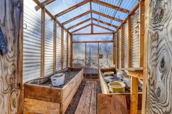 a view of a backyard with trees