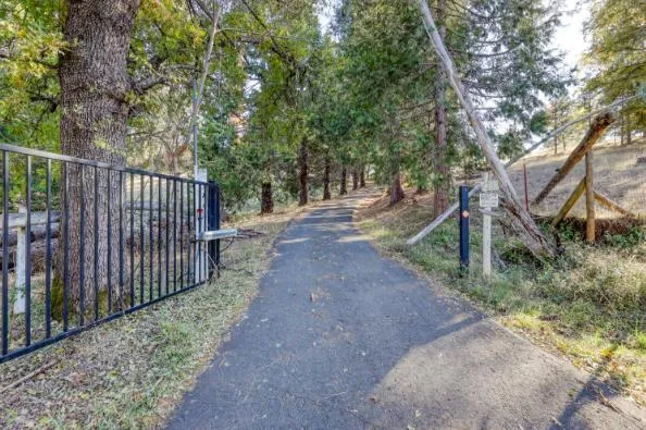 a view of a backyard with trees