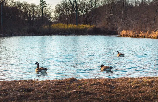 $1,600,000 | 4247 Wayne Rte Hh, Piedmont, MO 63957