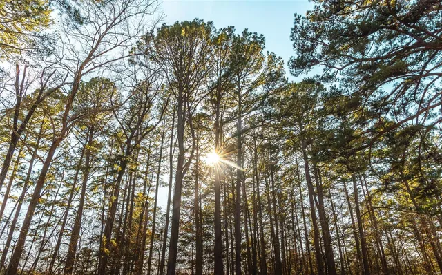 $1,600,000 | 4247 Wayne Rte Hh, Piedmont, MO 63957