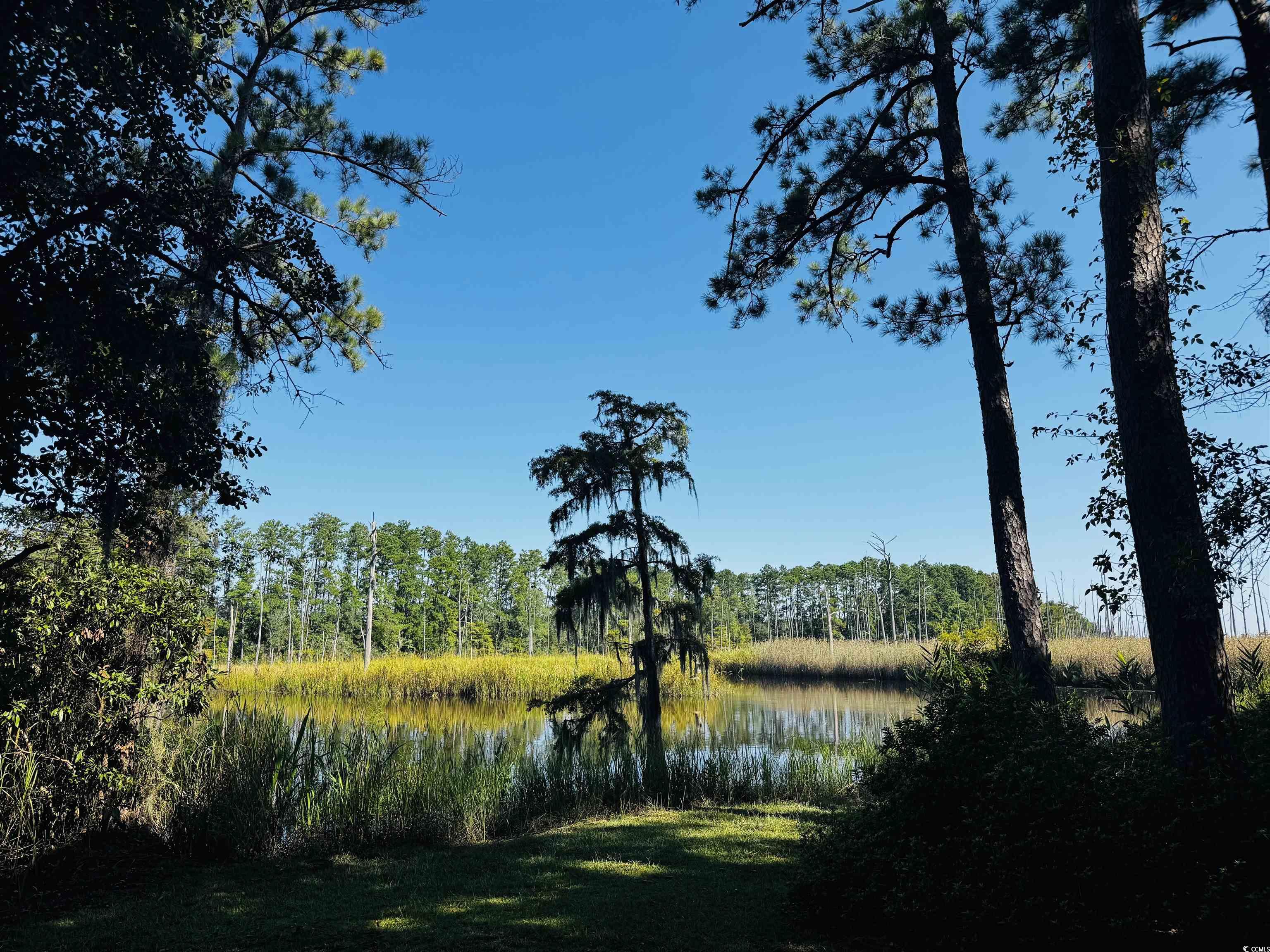 74 Blueberry Lane Georgetown, SC 29440 - Photo 34 of 40 View of wooded area featuring a water view