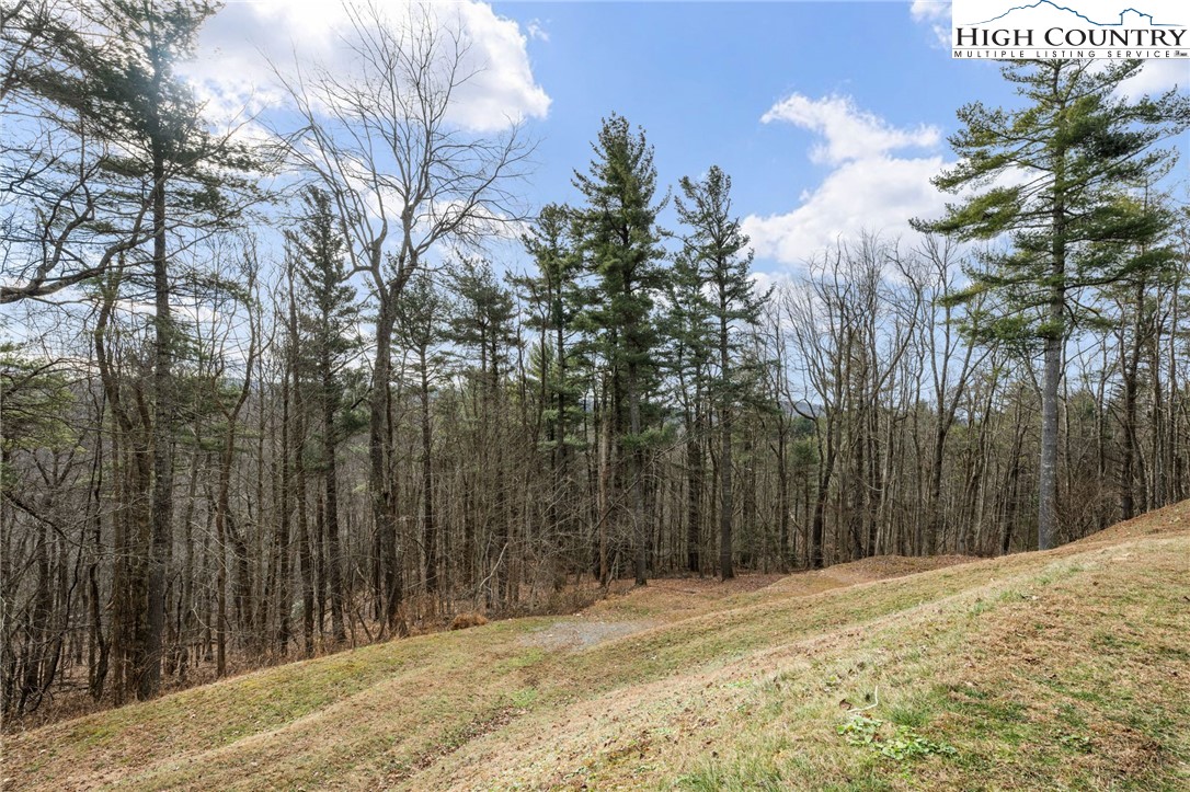 276 Storie Road Boone, NC 28607 - Photo 42 of 48