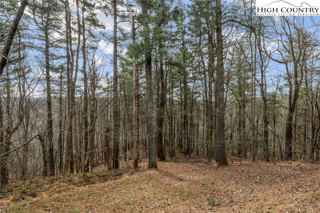 276 Storie Road Boone, NC 28607 - Photo 44 of 48