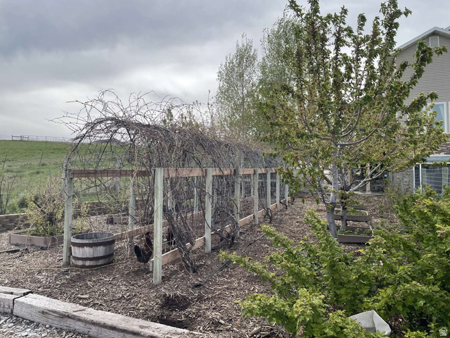 7030 West 2100 North Mendon, UT 84325 - Photo 16 of 67 Expansive garden area featuring a wood arbor structure, raised garden beds, a decorative wooden barrel, established trees, and surrounding foliage