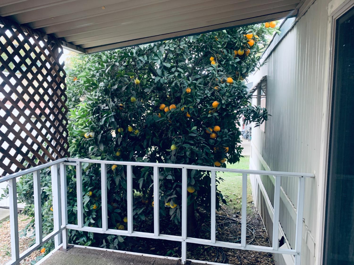 3901 Lake Road, Unit 72 West Sacramento, CA 95691 - Photo 7 of 53 a view of a balcony