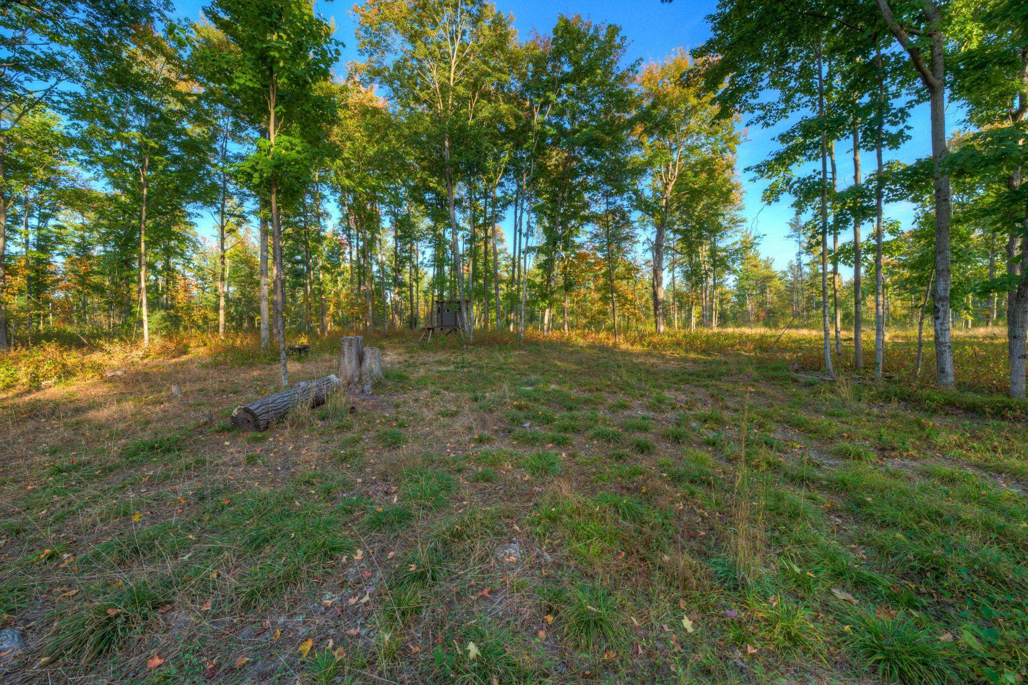 755 North Carmean Road Interlochen, MI 49643 - Photo 24 of 65