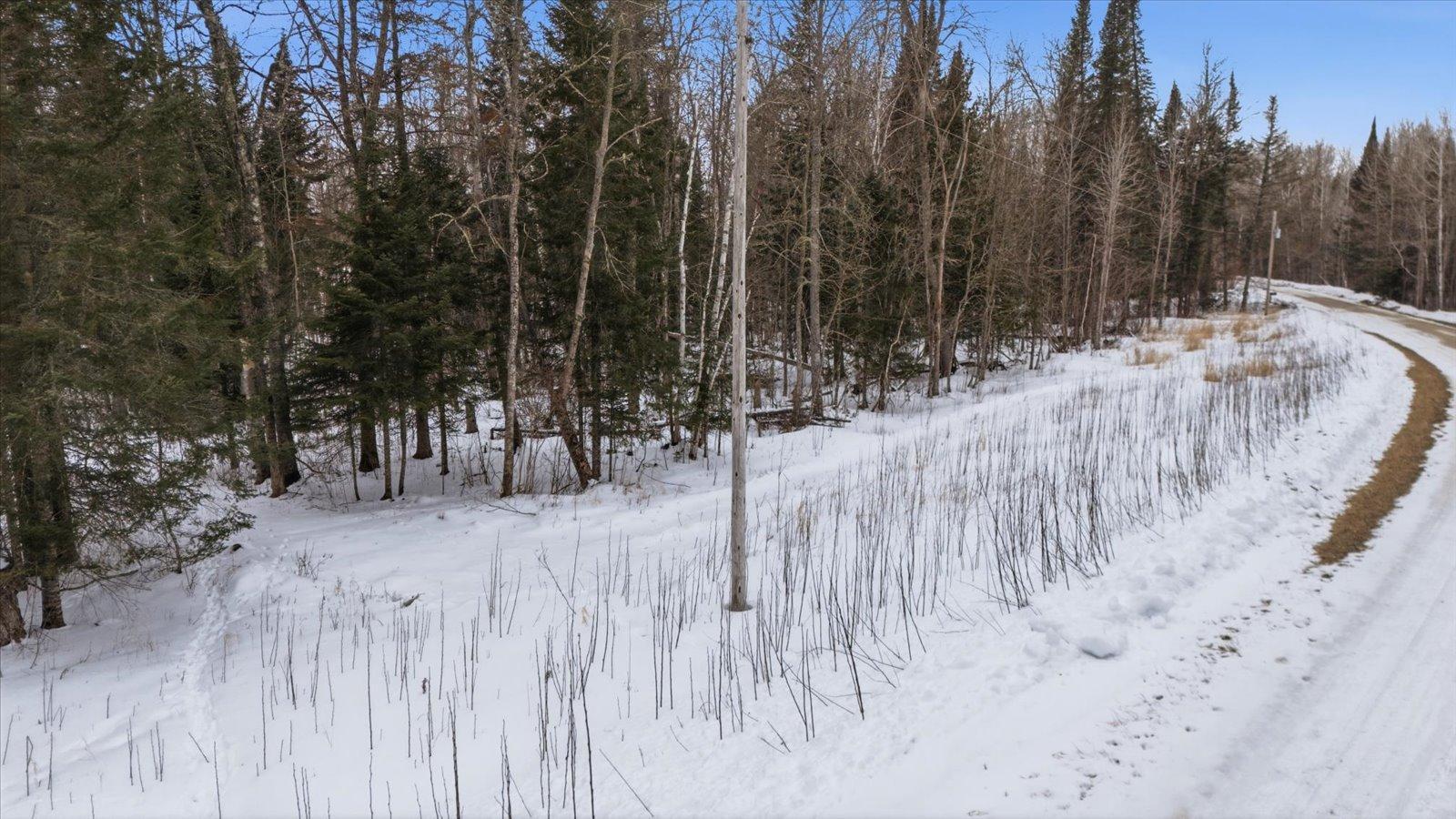 Tbd North Tbd N Little Turtle Lake Road Bigfork, MN 56628 - Photo 17 of 27