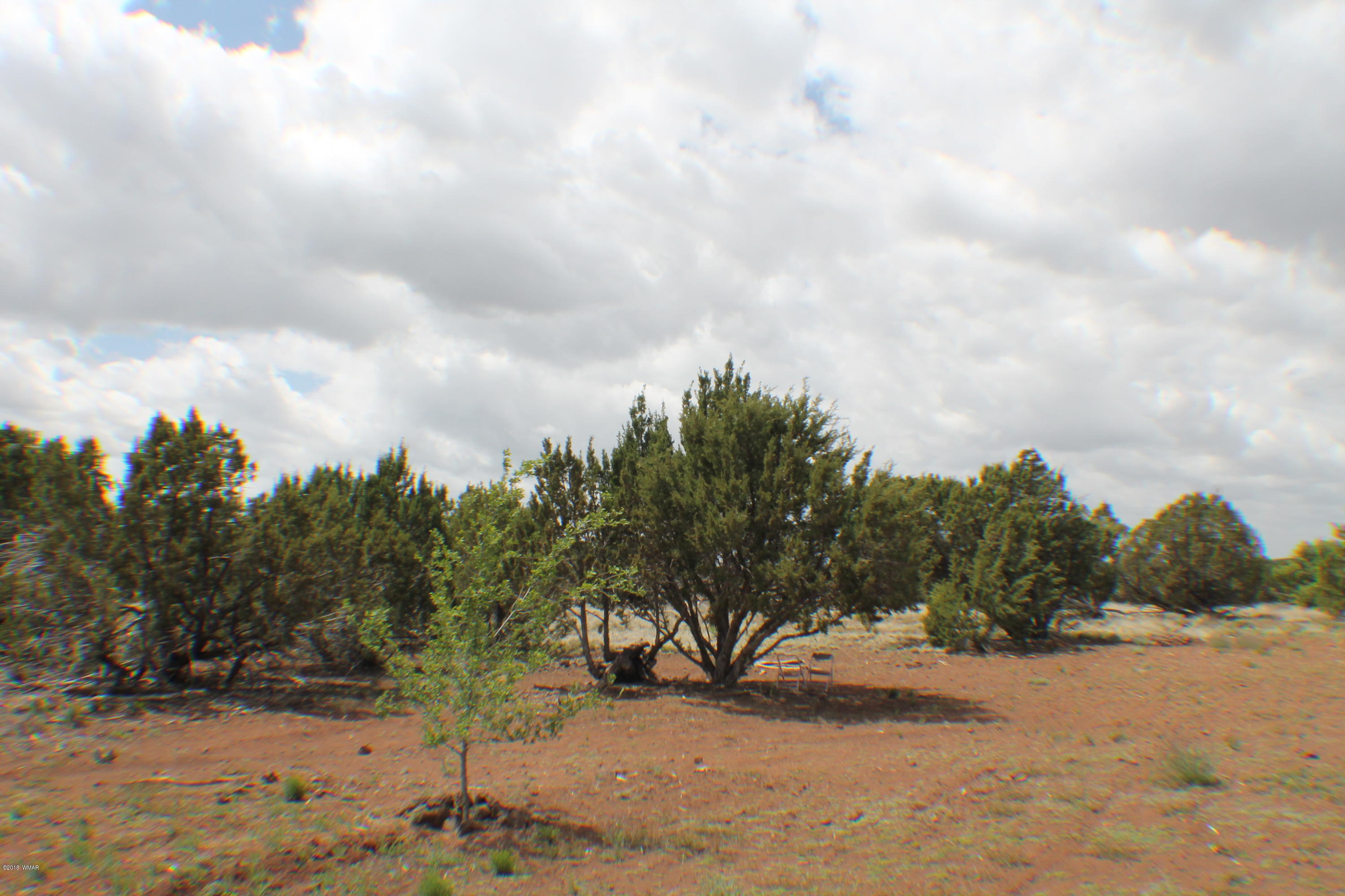 Parcel E Bourdon Ranch Road Show Low, AZ 85901 - Photo 12 of 12