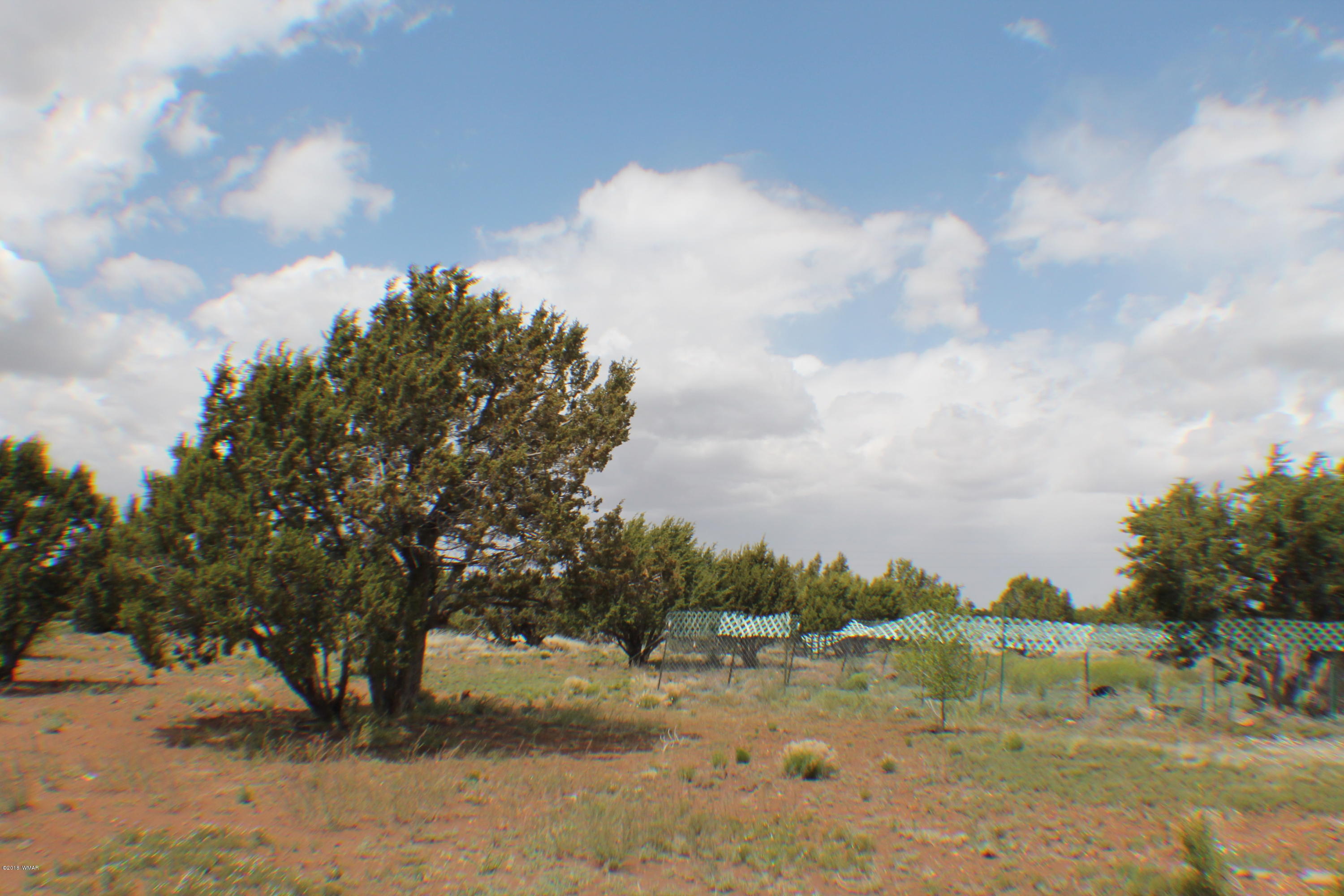 Parcel E Bourdon Ranch Road Show Low, AZ 85901 - Photo 2 of 12