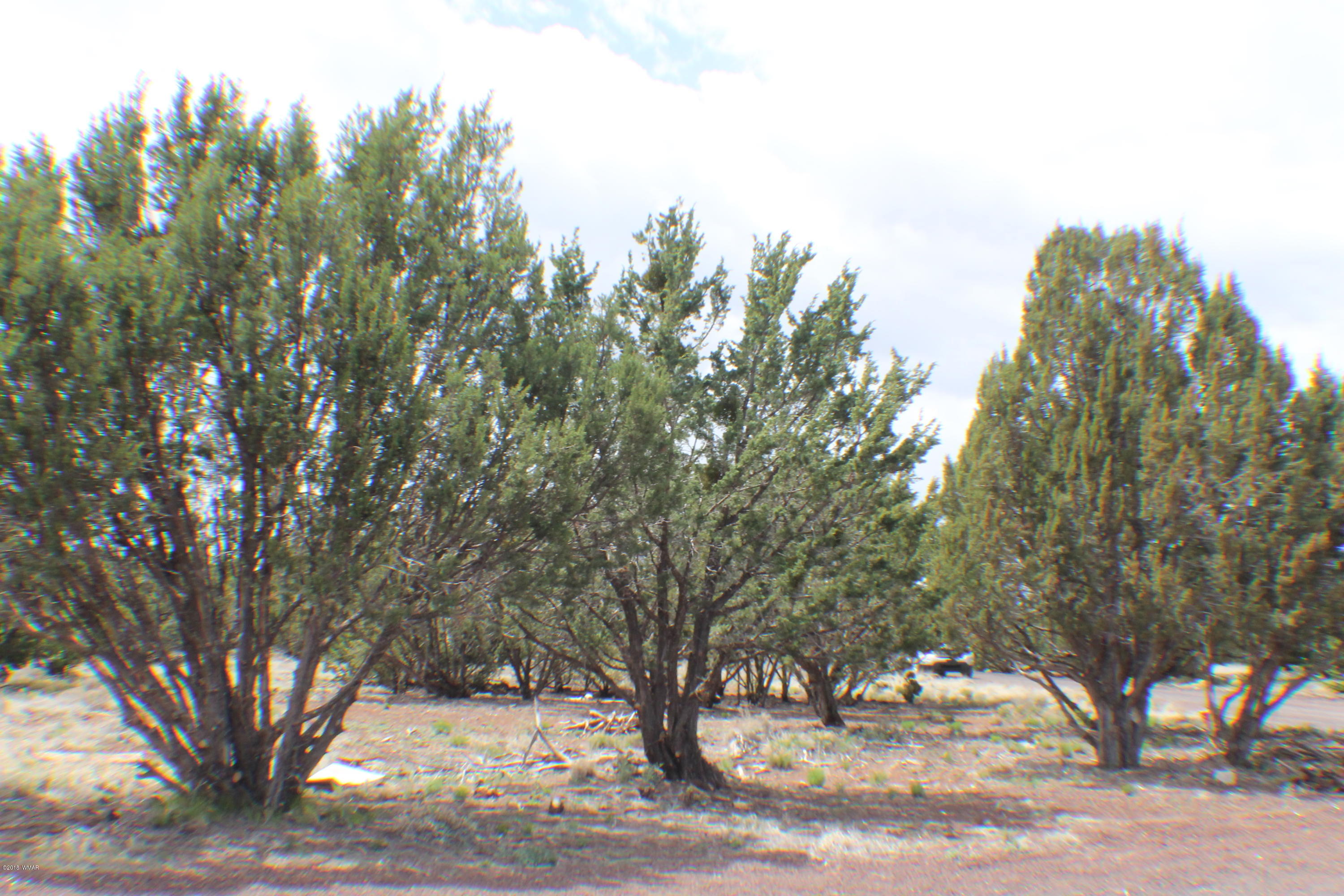 Parcel E Bourdon Ranch Road Show Low, AZ 85901 - Photo 4 of 12