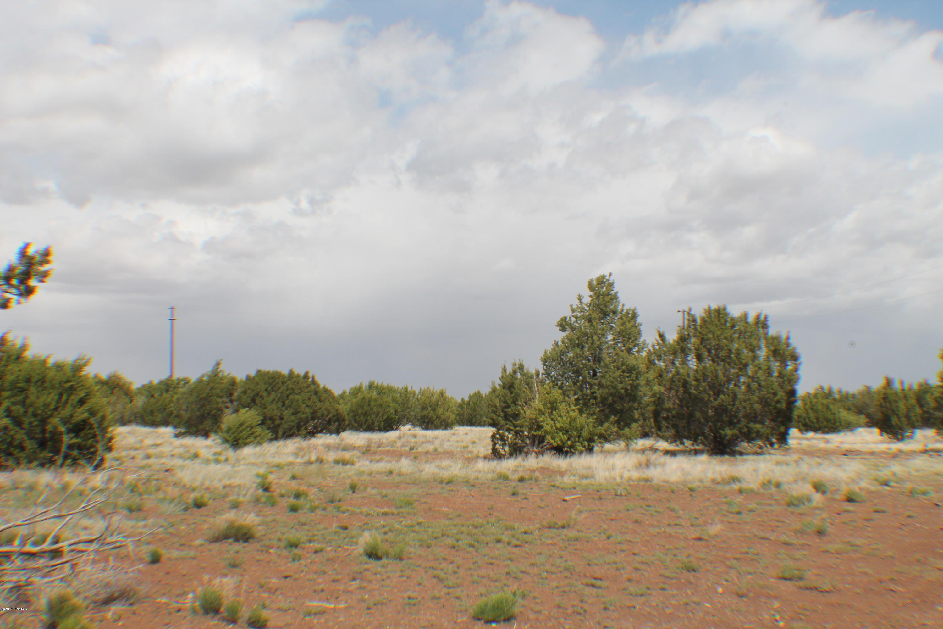 Parcel E Bourdon Ranch Road Show Low, AZ 85901 - Photo 6 of 12