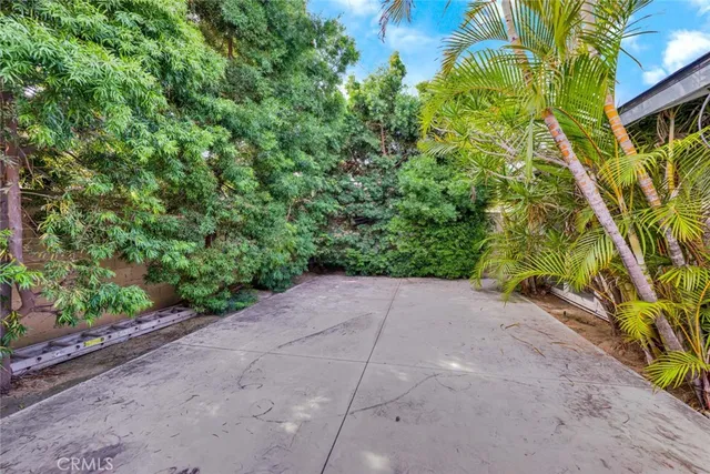 a view of a garden with plants