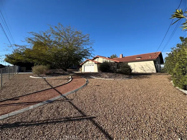 a view of a yard