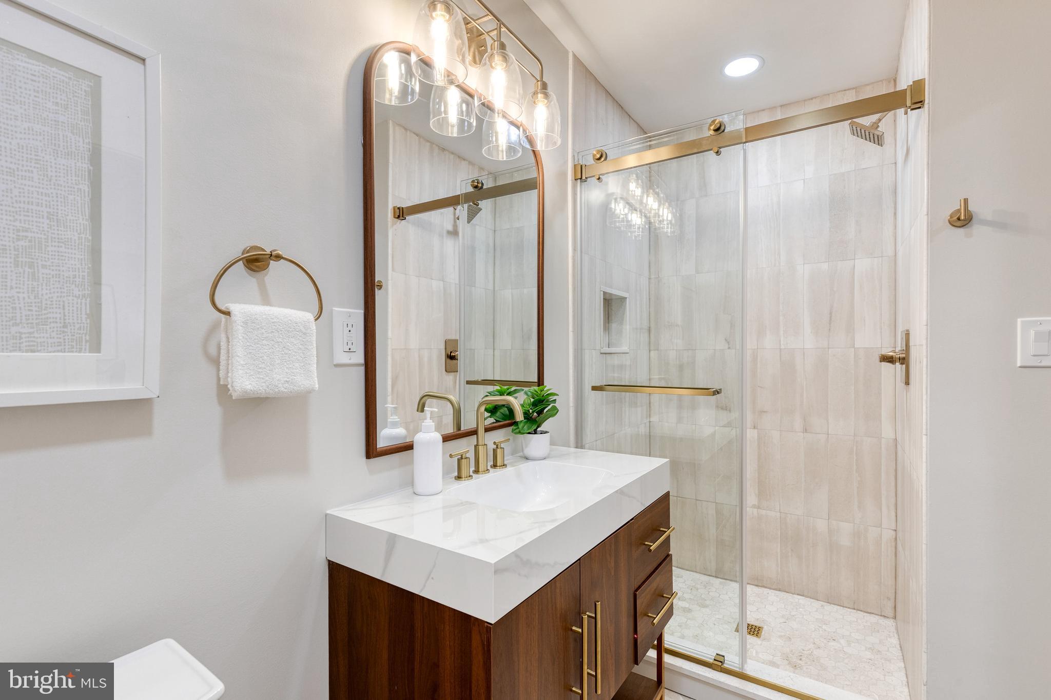 9488 Good Lion Road Columbia, MD 21045 - Photo 27 of 42 Ensuite Bathroom with Walk in Shower