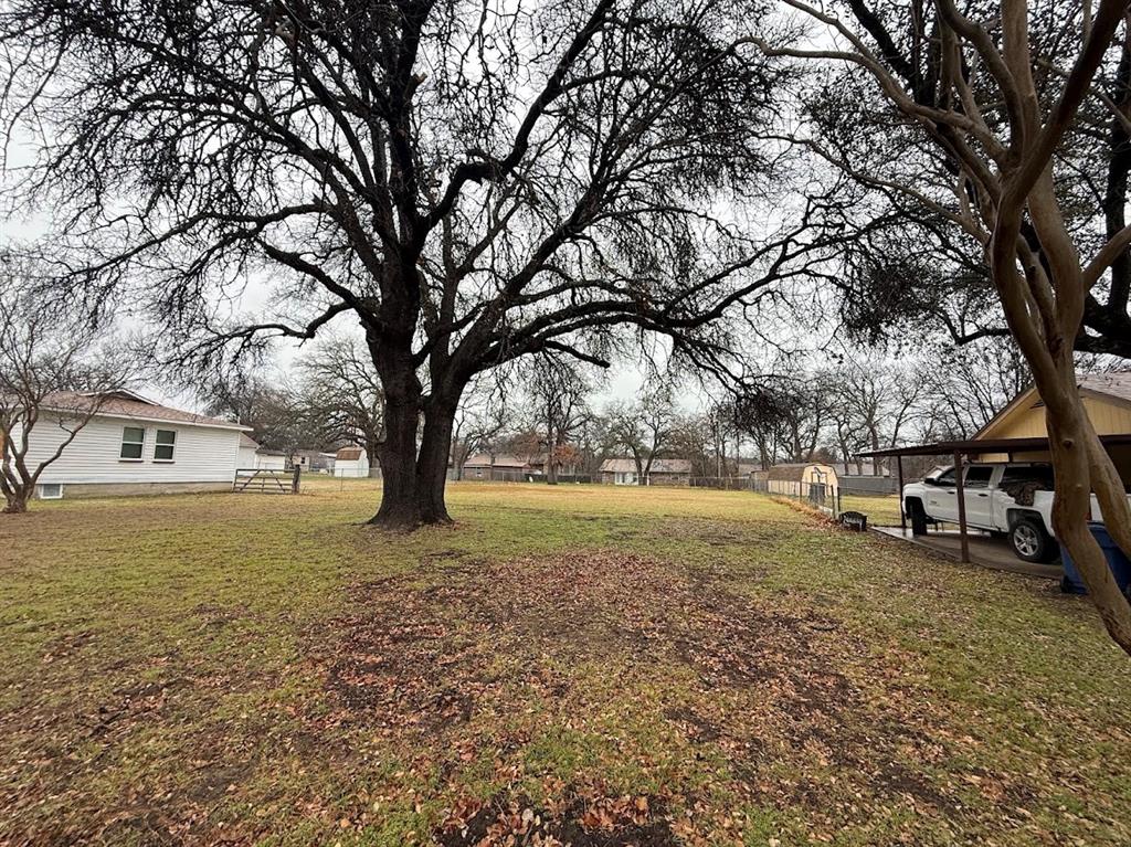 a view of a yard with a tree